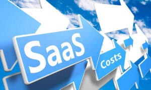 Managing Costs:  Software as a Service